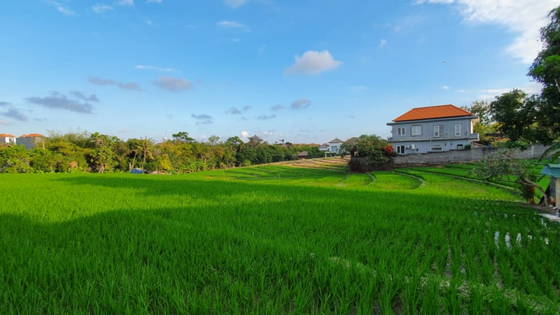 Villas Freehold In great Location Close to Echo Beach Canggu