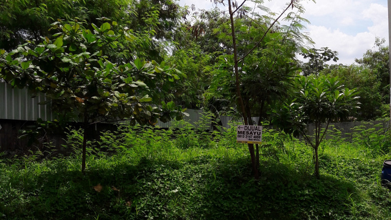 kavling murah siap bangun dalam cluster perumahan Taman Kenari Nusantara Cibubur