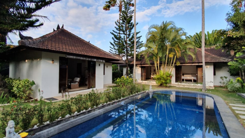 Amazing Villa In Great Location Padang Linjong Canggu