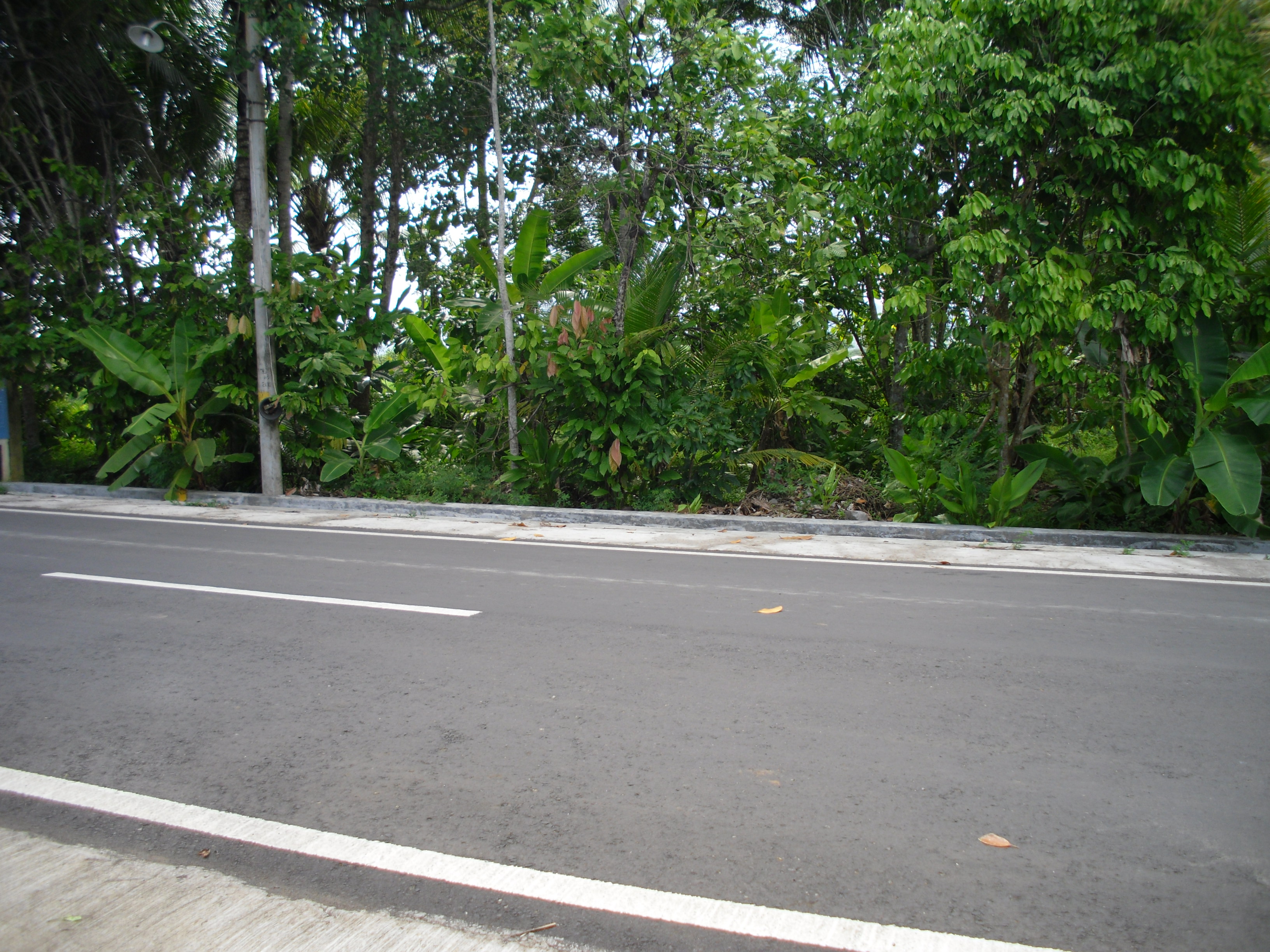 TANAH DI PINGGIR JALAN RAYA, DI SUMBER ARUM, MOYUDAN, SLEMAN.