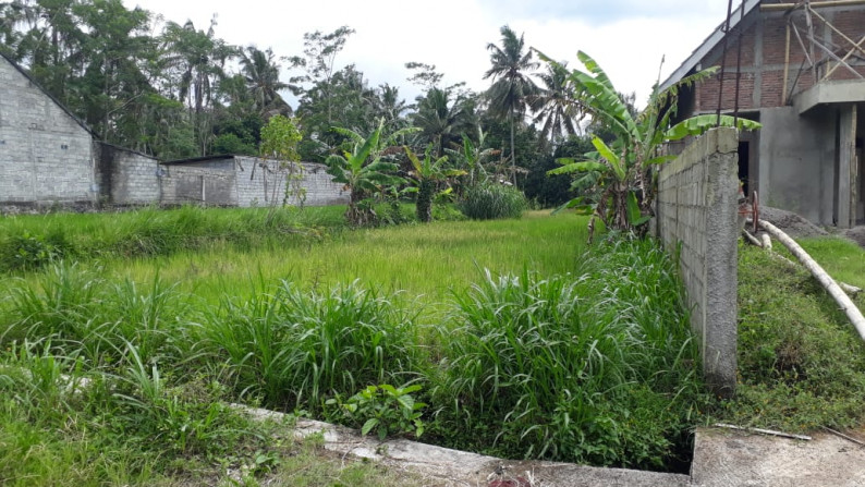 TANAH SAWAH SELUAS 710 METER PERSEGI DI JL PAKISAJI, PAKEM,SLEMAN