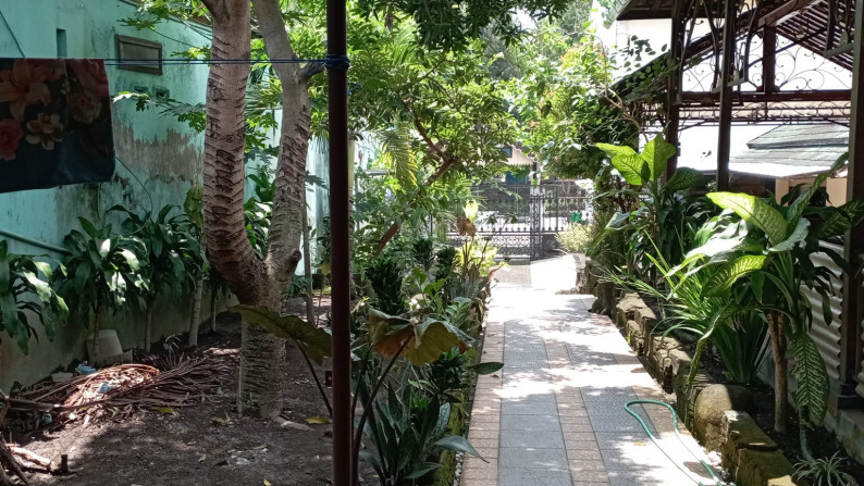RUMAH JOGLO DEKAT KAMPUS UGM DAN RS SARDJITO, CATURTUNGGAL, DEPOK, SLEMAN