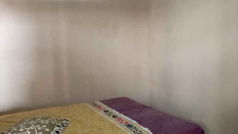 RUMAH JOGLO DEKAT KAMPUS UGM DAN RS SARDJITO, CATURTUNGGAL, DEPOK, SLEMAN