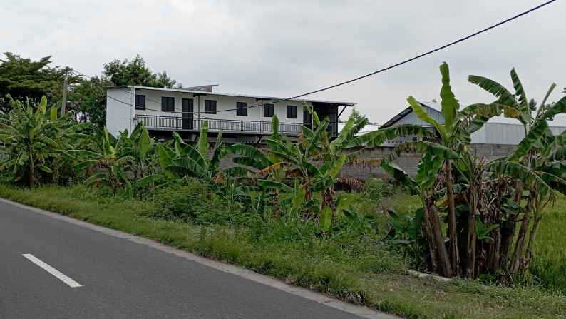 Tanah Sawah 404 Meter Di Mrisi Dekat Ringroad Selatan