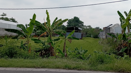 Tanah Sawah 404 Meter Di Mrisi Dekat Ringroad Selatan