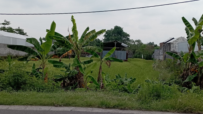 Tanah Sawah 404 Meter Di Mrisi Dekat Ringroad Selatan