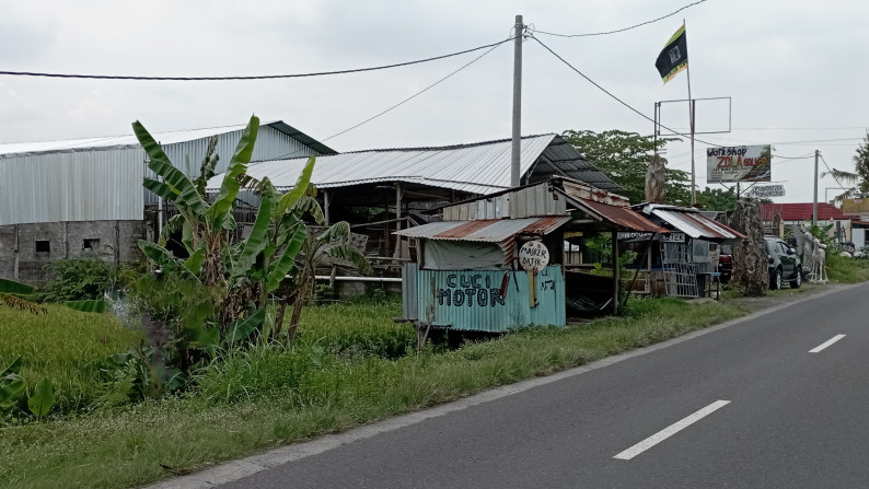 Tanah Sawah 404 Meter Di Mrisi Dekat Ringroad Selatan
