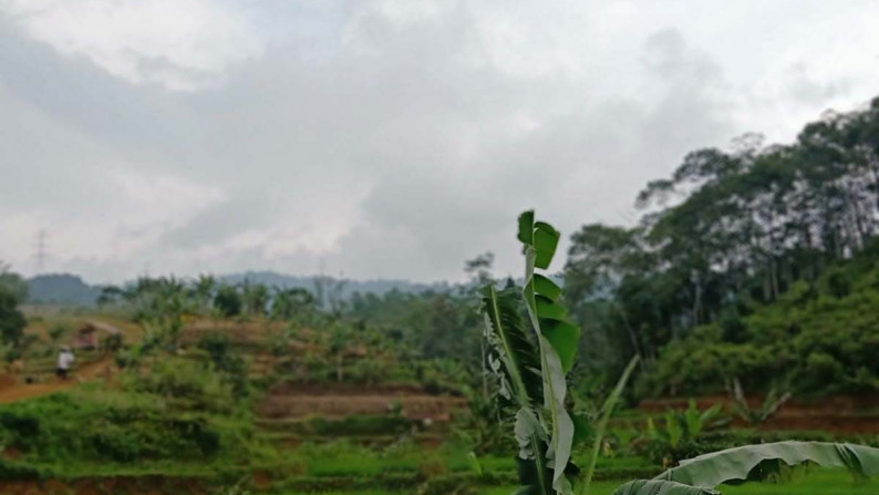 Dijual Lahan Cocok Untuk Komersil @Cipeuteuy, Kabandungan, Sukabumi