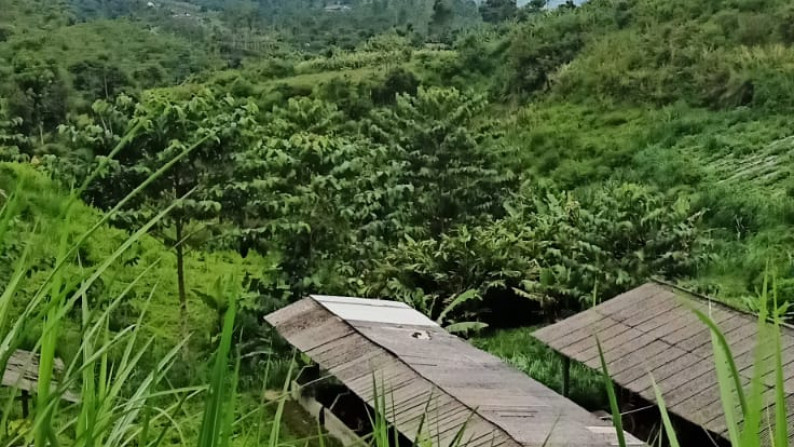 Dijual Lahan Cocok Untuk Komersil @Cipeuteuy, Kabandungan, Sukabumi