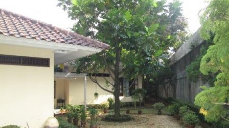 Rumah cantik,Asri,minimalis di Bintaro Jakarta Selatan