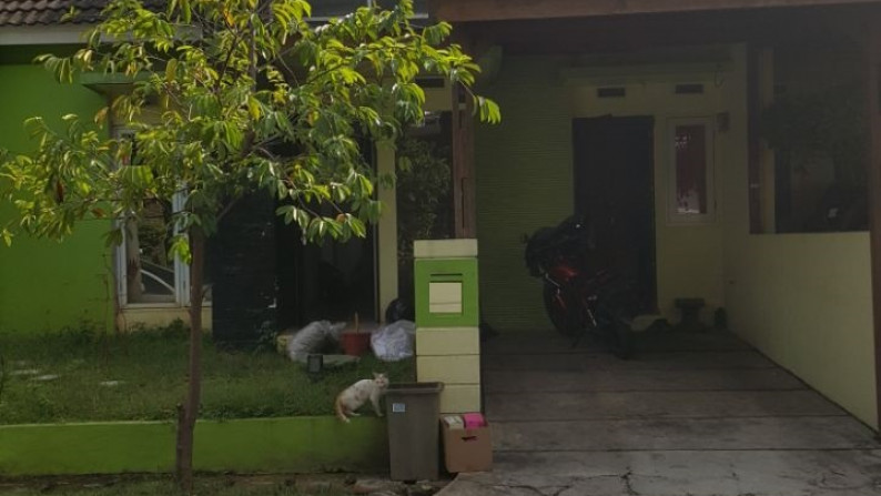 rumah 1.5 lantai di catalina, graha raya, Graha Raya, Tangerang