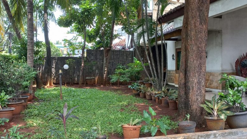 Rumah Asri di Duren Tiga