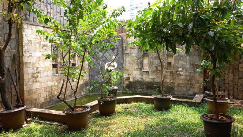 Rumah Asri di Duren Tiga