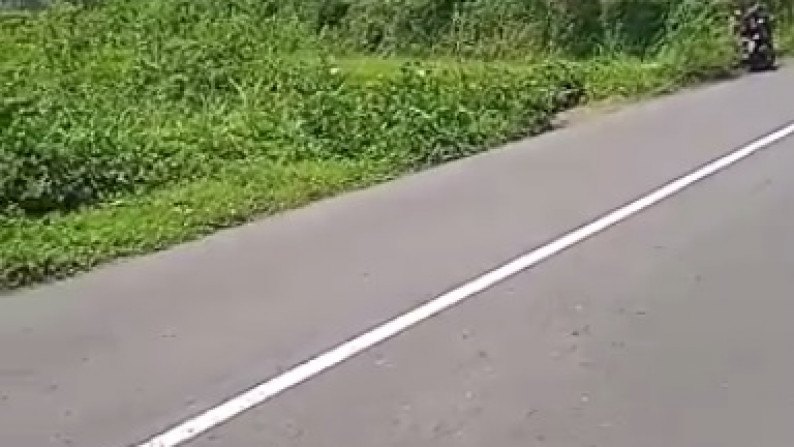 Tanah Pekarangan 2510 Di Jl Kaliurang Km 16, Pakem, Sleman