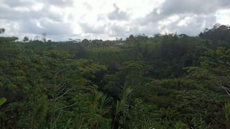 Rare Exotic Freehold Land in Remote Location with Holy Water Spring & Breath- Taking Jungle Valley Views (20,000sqm) + 2300sqm + Special Gift