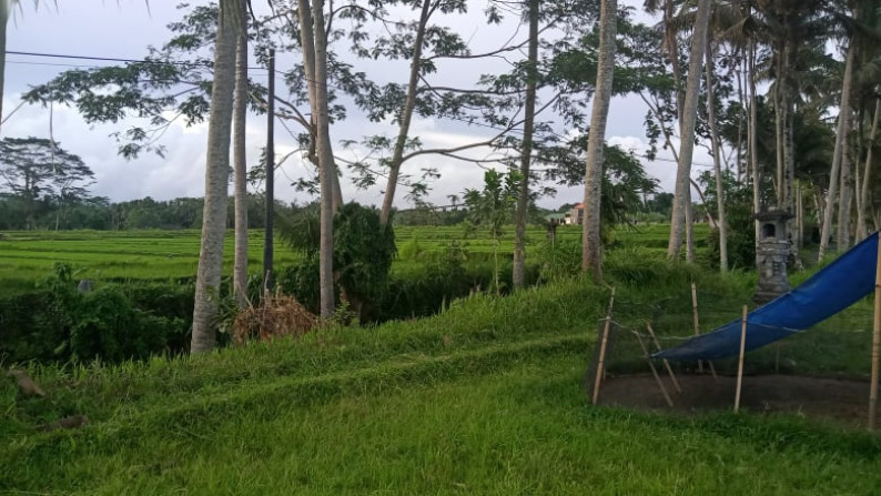 300sqm Tranquil Freehold Land with Incredible wiews on Mount Agung and Sidemen