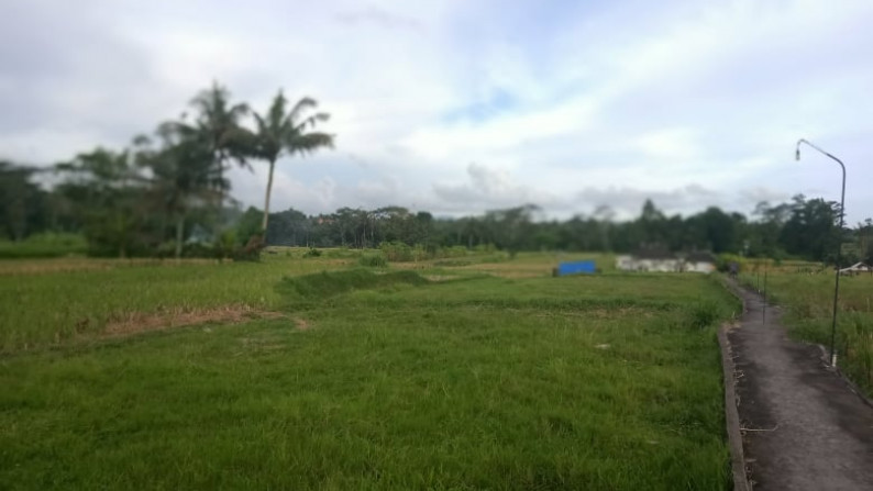 300sqm Tranquil Freehold Land with Incredible wiews on Mount Agung and Sidemen