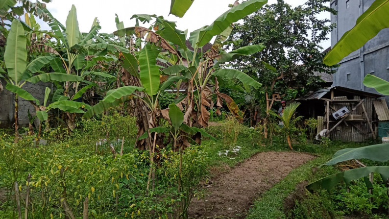 375 sqm Freehold Land in Strategic Location with Hidden Rice field Views