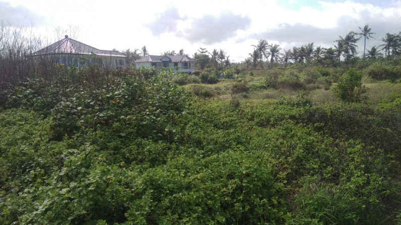 Land Freehold Beachfront in great Location Beyond Sanur