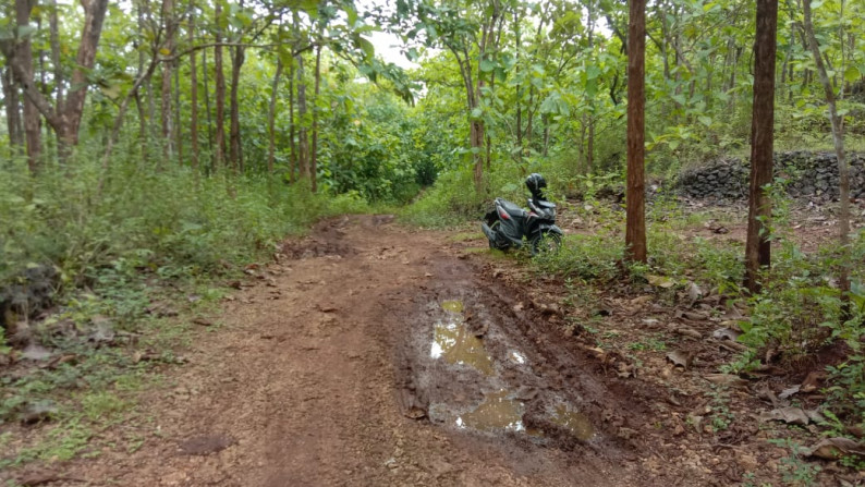 Tanah 1799 Meter Persegi Di Desa Jetis Wetan, Dekat Kawasan Wisata Gunung Kidul