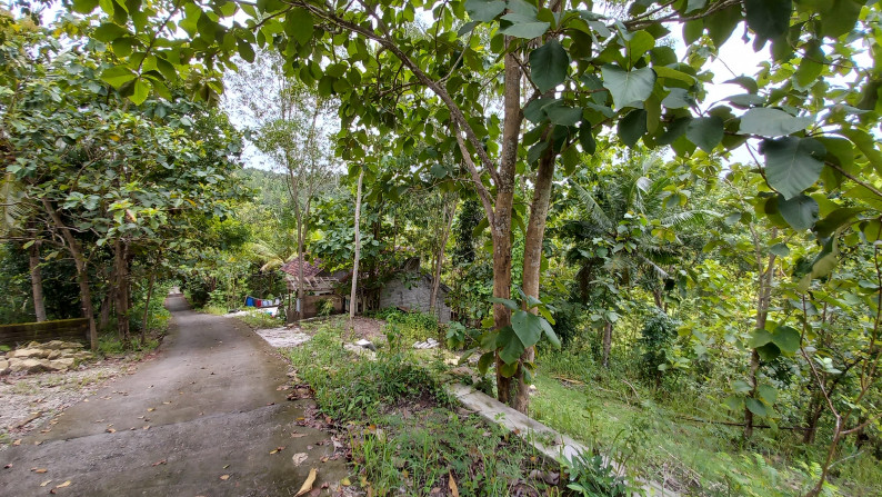 Tanah Pekarangan 2213 Meter Persegi, Cocok Untuk Villa Di Jl Tugu Gentong, Bangunjiwo