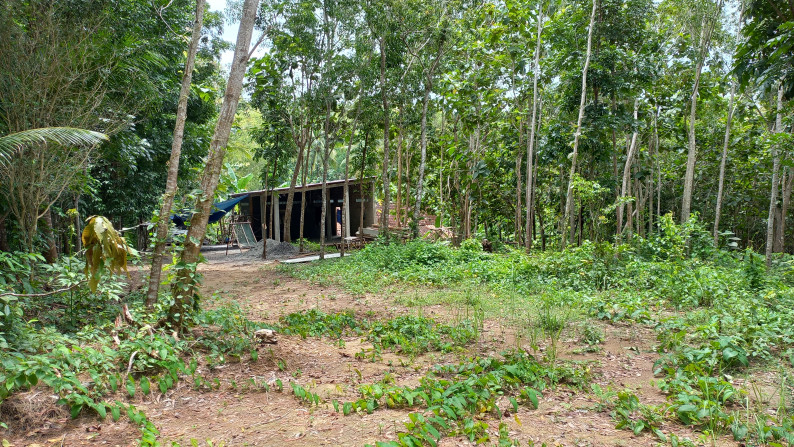 Tanah Pekarangan 5534 Meter Persegi, Di Jl Lereng Wisata, Sedayu, Bantul