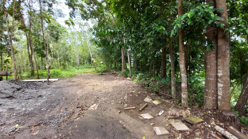 Tanah Pekarangan 5534 Meter Persegi, Di Jl Lereng Wisata, Sedayu, Bantul