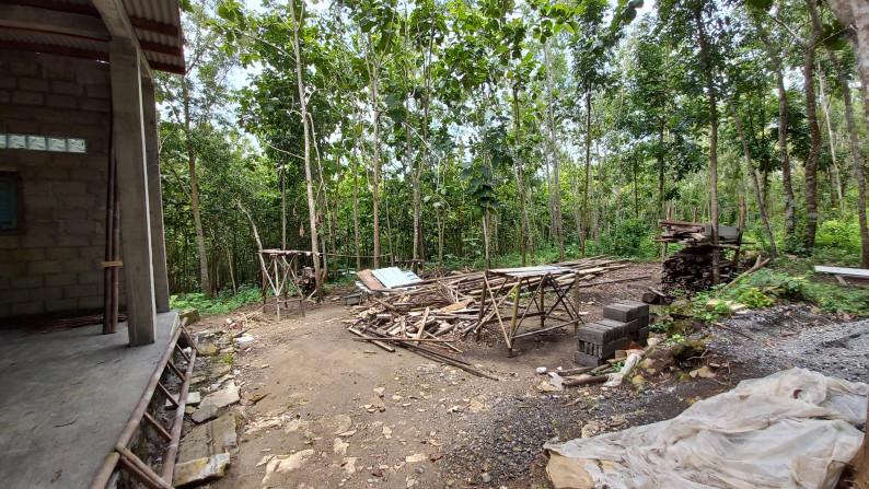 Tanah Pekarangan 5534 Meter Persegi, Di Jl Lereng Wisata, Sedayu, Bantul