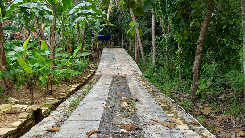 Tanah Pekarangan 5534 Meter Persegi, Di Jl Lereng Wisata, Sedayu, Bantul