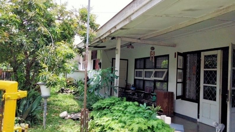 Rumah Klasik Dengan 7 Kamar Di Demangan Baru Lokasi Premium Dekat Kampus Sanata Dharma