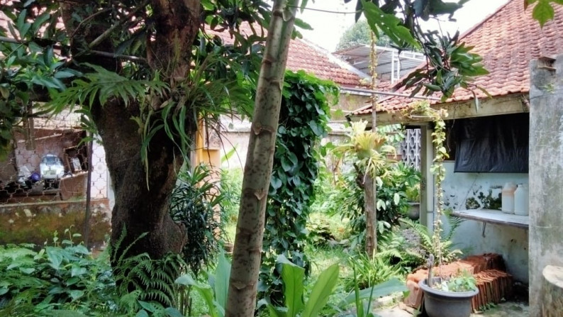 Rumah Klasik Dengan 7 Kamar Di Demangan Baru Lokasi Premium Dekat Kampus Sanata Dharma