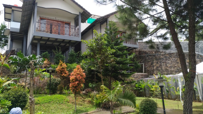 guest house penginapan pemondokan hostel inn villa lembang cikole tangkuban perahu gunung putri jual