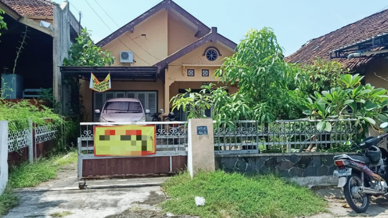 Rumah Lama ex Homestay dekat Kraton Yogyakarta