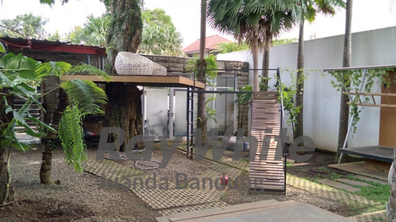 Rumah industrial minimalis dengan halaman luas