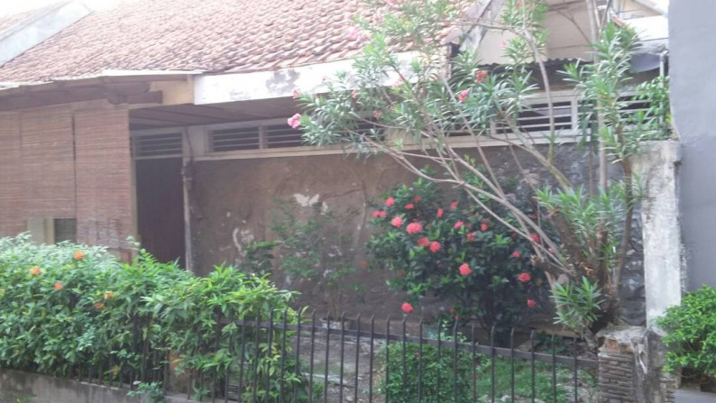 Rumah Minimalis, Asri, dan Lokasi Strategis @Jl Radio, Kebayoran Baru