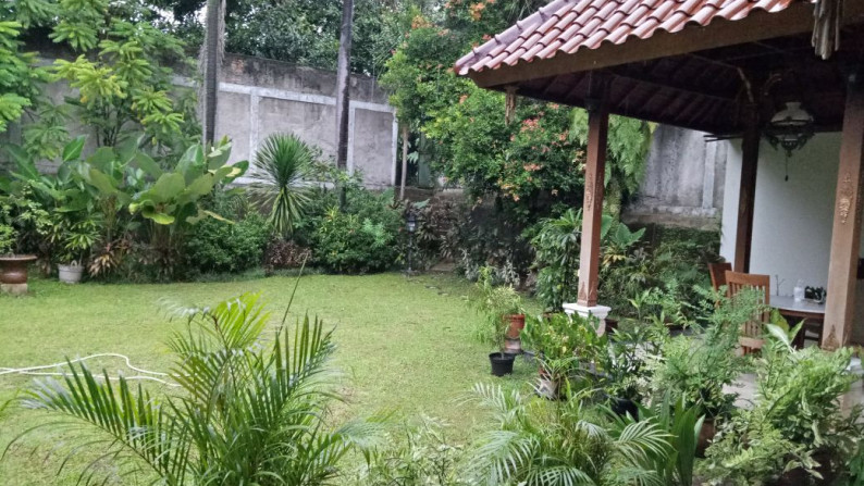 Rumah Cantik, Guest House dalam perumahan di sektor 9