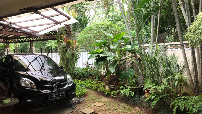 Rumah asri di Kebayoran baru, Jakarta Selatan