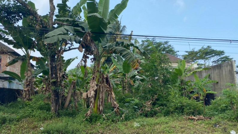 Tanah Dekat Kampus UII  Jl Kaliurang Km 13.5 Sleman