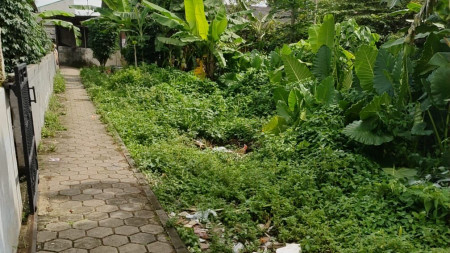 Dijual tanah murah di curug kulon Kab. Tangerang