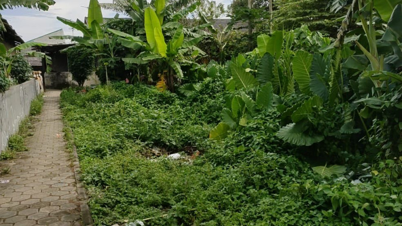 Dijual tanah murah di curug kulon Kab. Tangerang