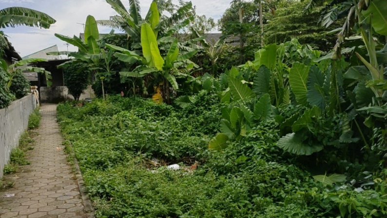 Dijual tanah murah di curug kulon Kab. Tangerang