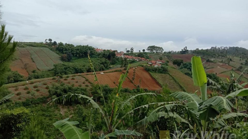 Langka Tanah View Bandung dan gunung di Tugu Cimenyan Dago