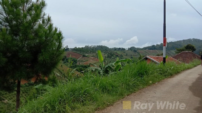 Langka Tanah View Bandung dan gunung di Tugu Cimenyan Dago