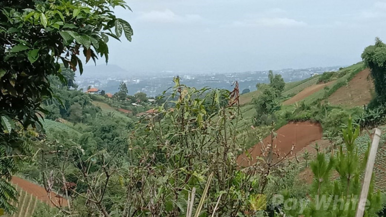 Langka Tanah View Bandung dan gunung di Tugu Cimenyan Dago