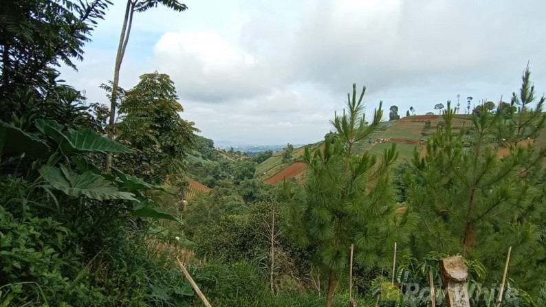 Langka Tanah View Bandung dan gunung di Tugu Cimenyan Dago