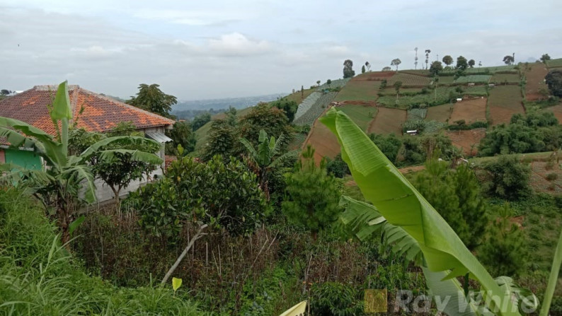 Langka Tanah View Bandung dan gunung di Tugu Cimenyan Dago