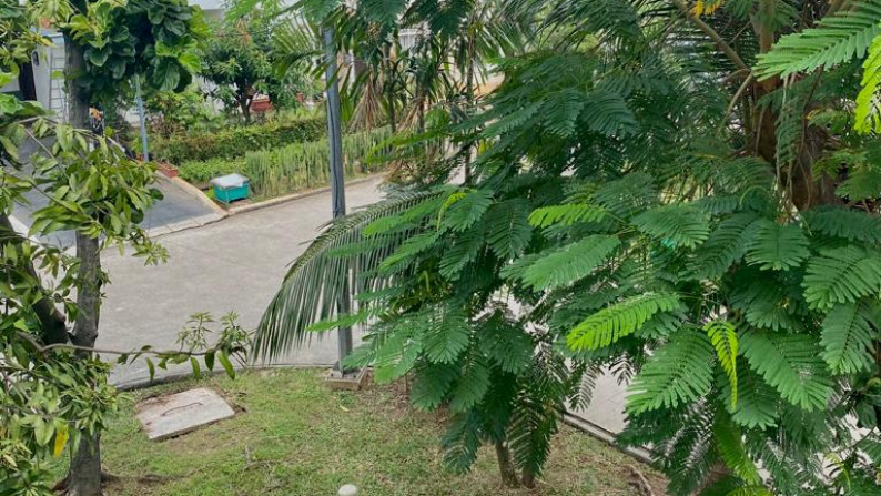 Dijual rumah harga murah di taman britania lippo karawaci