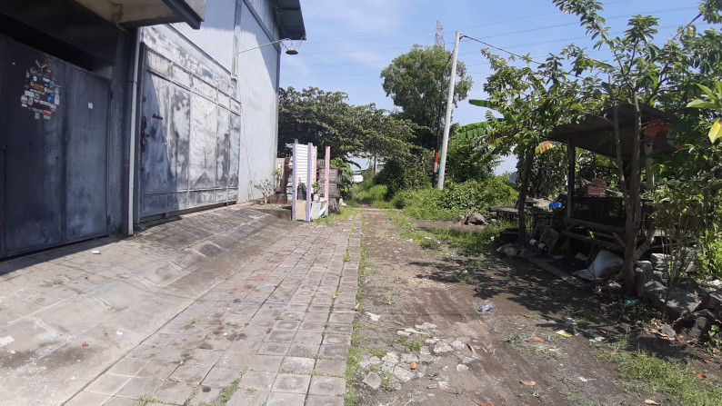 Land Freehold 205 Sqm in Great Location Mengwi Badung