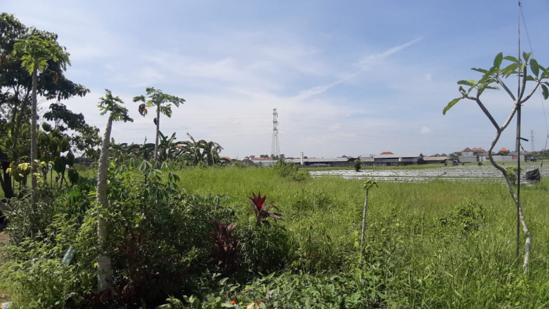 Land Freehold 205 Sqm in Great Location Mengwi Badung