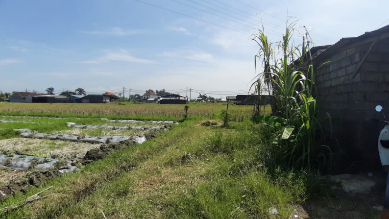 Land Freehold 205 Sqm in Great Location Mengwi Badung